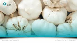 Garlic Cloves behind a teal overlay