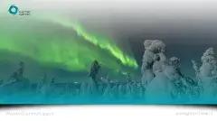 Finland Background of Northern Lights and snow covered trees