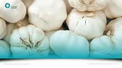 Garlic Cloves behind a teal overlay