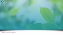 Plant leafs under light